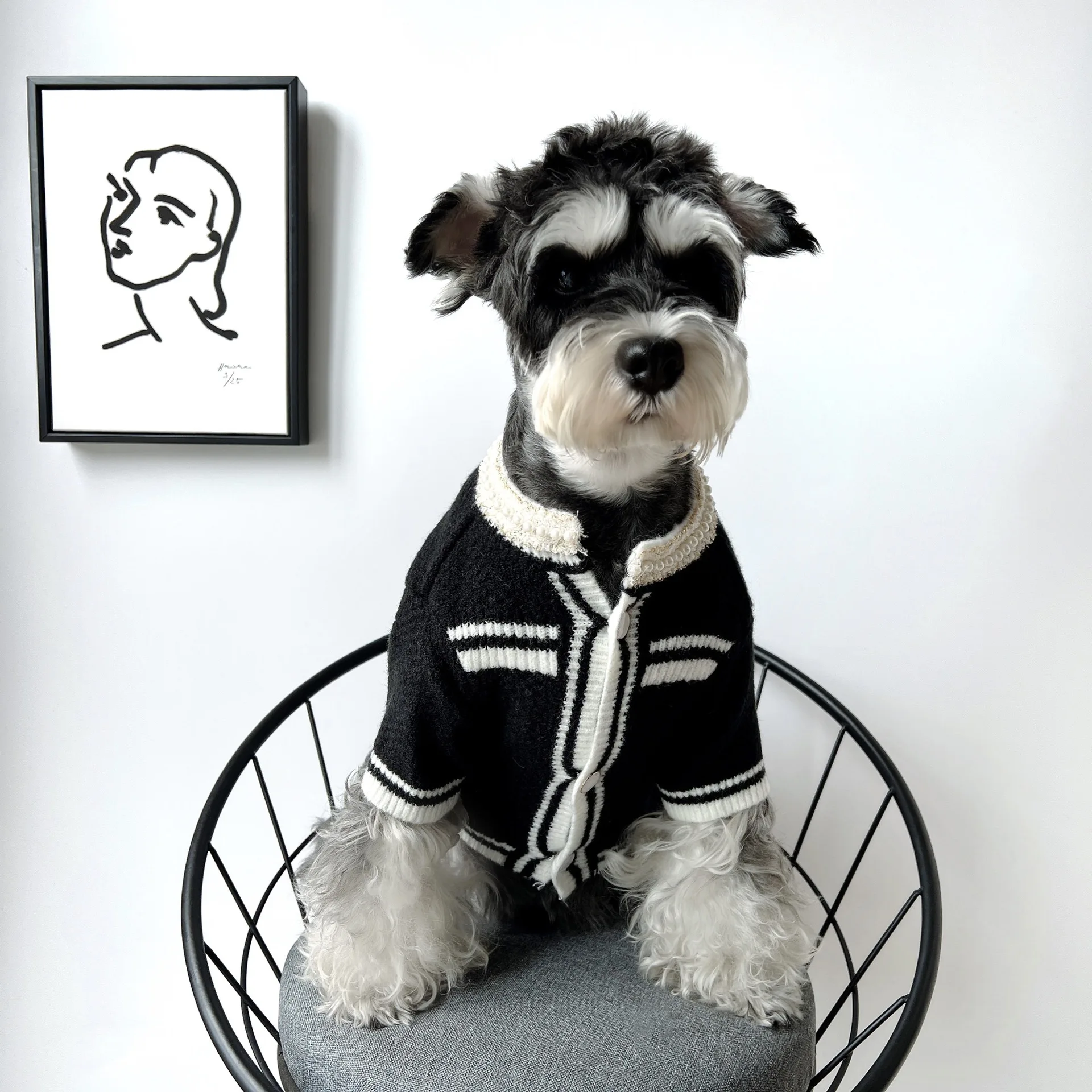 14/Pet Trendy Knitted Sweater Autumn and Winter Warm Vest Small and Medium-sized Dogs Chihuahua Bulldog Schnauzer Cat Clothes
14/Pet Trendy Knitted Sweater Autumn and Winter Warm Vest Small and Medium-sized Dogs Chihuahua Bulldog Schnauzer Cat Clothes