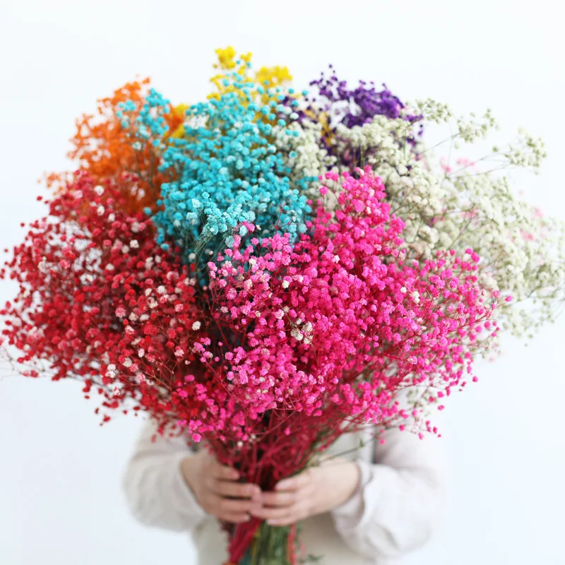 Really Flowers Natural Dried Gypsophila Pink, White, Purple, Yellow And So On Home Decoration and Wedding Flowers
Really Flowers Natural Dried Gypsophila Pink, White, Purple, Yellow And So On Home Decoration and Wedding Flowers