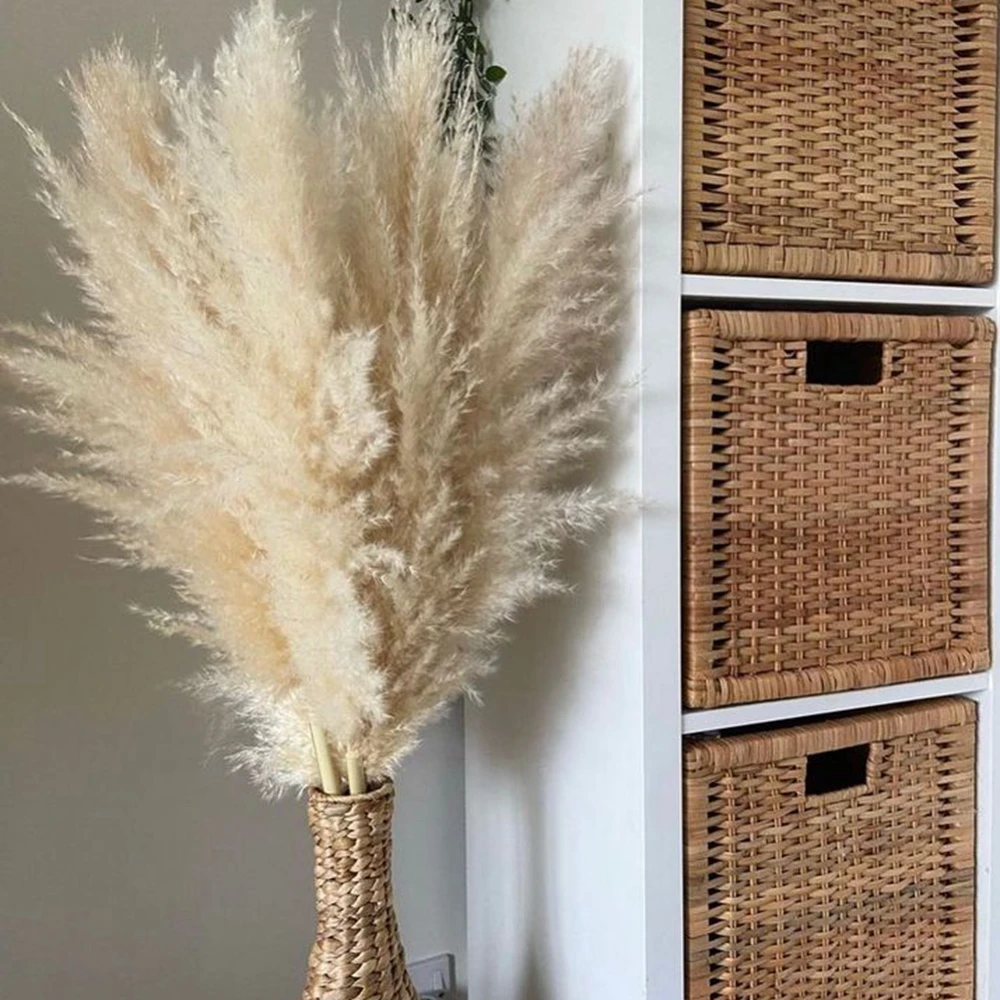 80cm Living Room Large Pampas Decor Natural Dried Pampas Grass Fluffy Pampas Bouquet Boho Long Dried Flowers Wedding Arch Decor
80cm Living Room Large Pampas Decor Natural Dried Pampas Grass Fluffy Pampas Bouquet Boho Long Dried Flowers Wedding Arch Decor