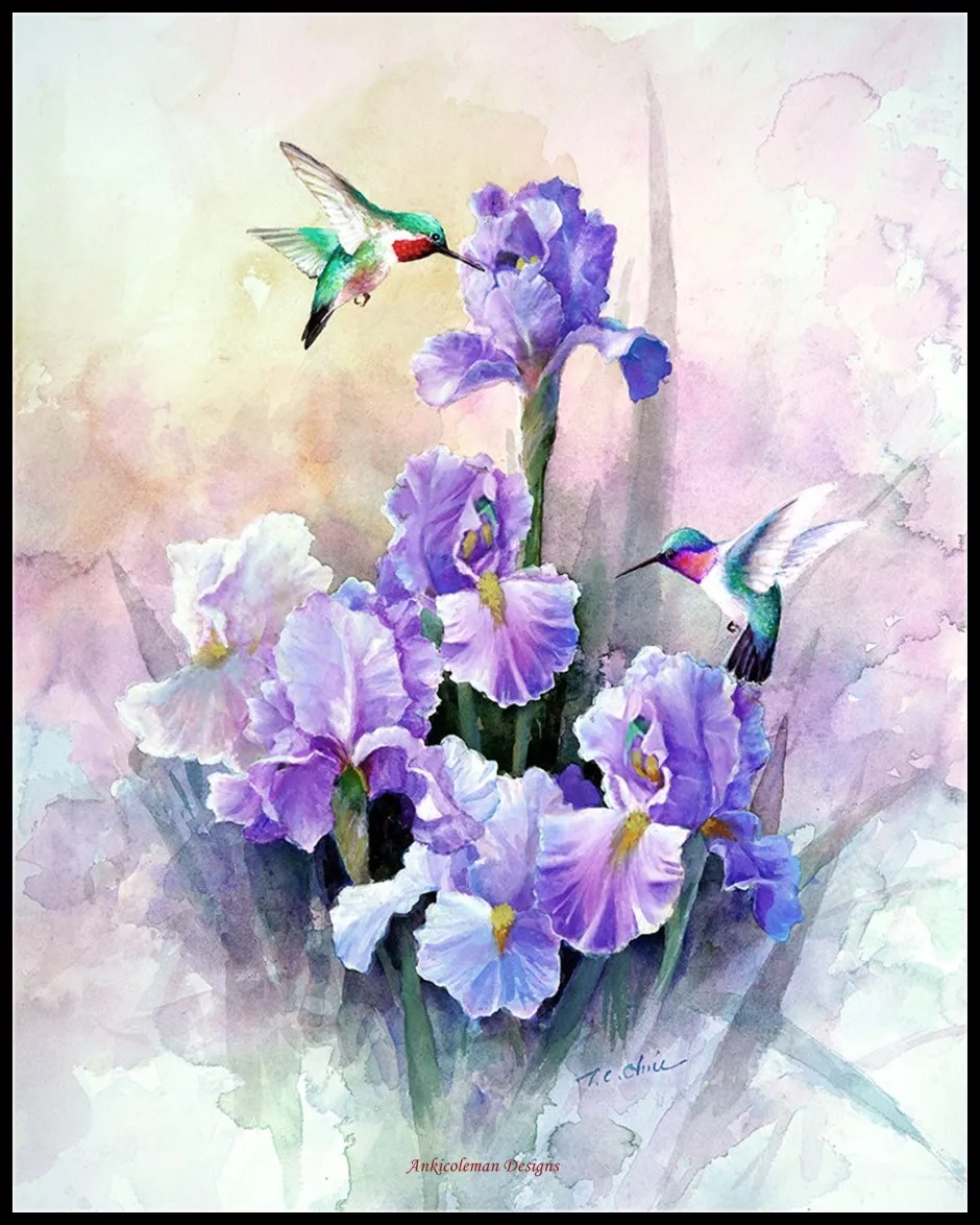 Hummingbirds and Purple Iris - Counted Cross Stitch Kits - DIY Handmade Needlework Embroidery 14 CT Aida Sets DMC Color
Hummingbirds and Purple Iris - Counted Cross Stitch Kits - DIY Handmade Needlework Embroidery 14 CT Aida Sets DMC Color