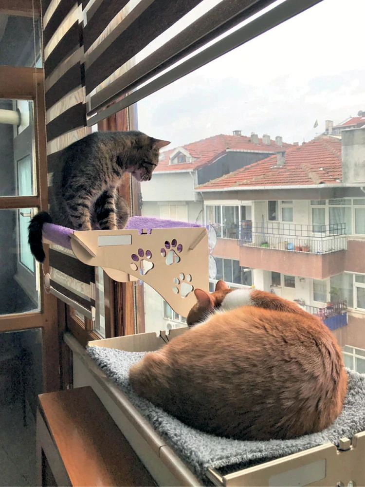 Cute cat beds Pet hamağı comfortable sunny seat window mount soft Pet rack sunny seat bearings consumabl
Cute cat beds Pet hamağı comfortable sunny seat window mount soft Pet rack sunny seat bearings consumabl