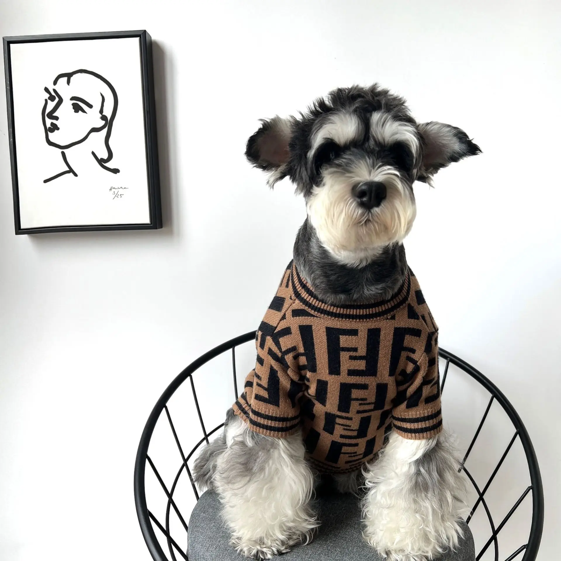 9/Pet Trendy Knitted Sweater Autumn and Winter Warm Vest Small and Medium-sized Dogs Chihuahua Bulldog Schnauzer Cat Clothes
9/Pet Trendy Knitted Sweater Autumn and Winter Warm Vest Small and Medium-sized Dogs Chihuahua Bulldog Schnauzer Cat Clothes