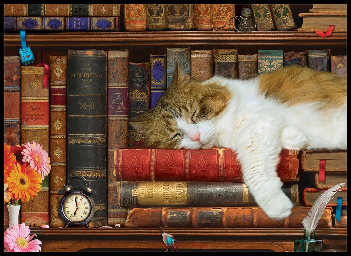 Набор для вышивки крестиком The Cat Nap-набор для рукоделия «сделай сам», рукоделие, вышивка 14 карат Aida, цветные DMC наборы
Набор для вышивки крестиком The Cat Nap-набор для рукоделия «сделай сам», рукоделие, вышивка 14 карат Aida, цветные DMC наборы