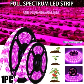 식물 성장 조명 스트립, USB UV 피토 램프, 꽃 온실 재배 수경 램프, 전체 스펙트럼 성장 조명, LED 5V