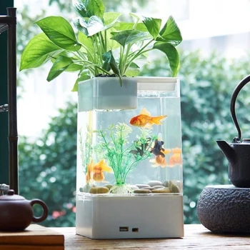 Creative Lazy Mini Small Acrylic Goldfish Bowl Fish Tank Free Water Change Transparent Fish Tank(White,without Batteries) 
Creative Lazy Mini Small Acrylic Goldfish Bowl Fish Tank Free Water Change Transparent Fish Tank(White,without Batteries)