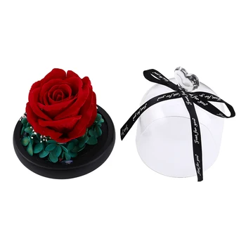 LED Eternal Flower Immortal Flora Light Up Dome Beauty and The Beast Rose Real Rose Valentine's Day Birthday Mother's Day Gift
LED Eternal Flower Immortal Flora Light Up Dome Beauty and The Beast Rose Real Rose Valentine's Day Birthday Mother's Day Gift