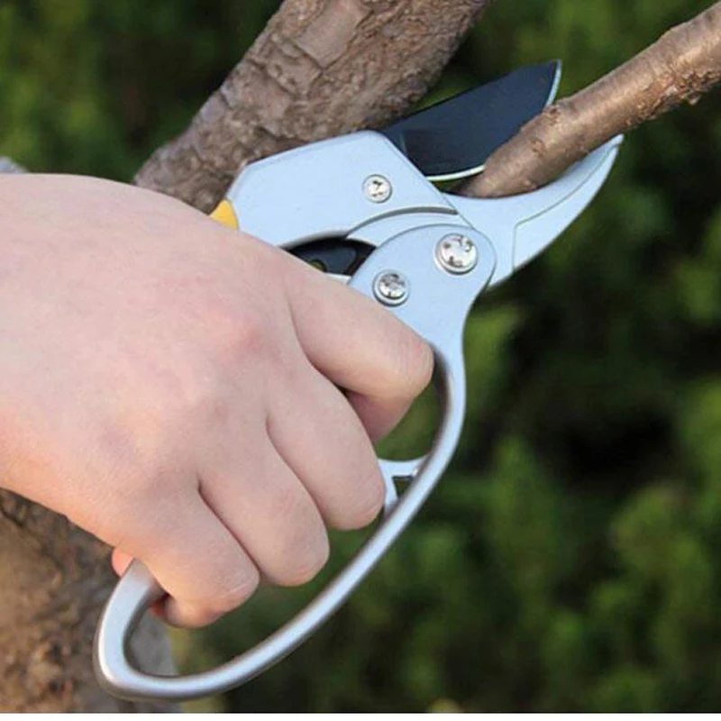 Garden Shear Scissors Gardening Plant Scissor Branch Pruner Trimmer Tools Garden Pruning Shear High Carbon Steel Garden Tools 
Garden Shear Scissors Gardening Plant Scissor Branch Pruner Trimmer Tools Garden Pruning Shear High Carbon Steel Garden Tools