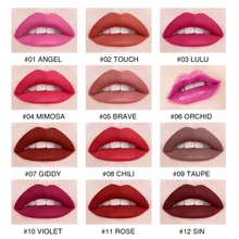 12 Warna Tahan Lama Matte Lip Gloss Seksi Tahan Air Merah Lipstik Non-Stick Piala Sampel Lip Glaze TSLM2(China)