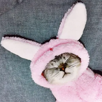 Winter Warm Cat Clothes Pet Clothes For Hairless Cat Cute Costumes Fashion Outfits Coats Soft Sweater Cat Clothes Pet Supplies
Winter Warm Cat Clothes Pet Clothes For Hairless Cat Cute Costumes Fashion Outfits Coats Soft Sweater Cat Clothes Pet Supplies