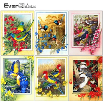 Evershine 5D DIY Diamond Painting Bird Animal Cross Stitch Kit Diamond Embroidery Flower Pictures Of Rhinestones Home Decor Gift
Evershine 5D DIY Diamond Painting Bird Animal Cross Stitch Kit Diamond Embroidery Flower Pictures Of Rhinestones Home Decor Gift