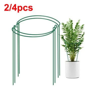 2/4pcs Plant Support Stand Flowers Support Ring Half Round Metal Plant Support Stakes Bonsai Support Backyard Garden Plant Tools
2/4pcs Plant Support Stand Flowers Support Ring Half Round Metal Plant Support Stakes Bonsai Support Backyard Garden Plant Tools
