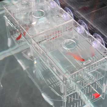 1PC Double Layer Clear Nontoxic Transparent Safe Acrylic Fish Breeding Box Isolation Box Aquarium Breeder Hatching Incubator
1PC Double Layer Clear Nontoxic Transparent Safe Acrylic Fish Breeding Box Isolation Box Aquarium Breeder Hatching Incubator