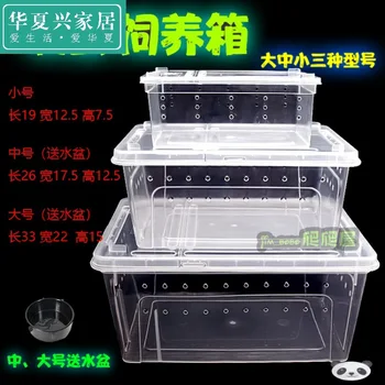 Pet Climb Crawler Terrarium Gecko Lizard Spider Snake Snail si yang he Insect Scorpion Turtle Horned Frog Terrarium
Pet Climb Crawler Terrarium Gecko Lizard Spider Snake Snail si yang he Insect Scorpion Turtle Horned Frog Terrarium