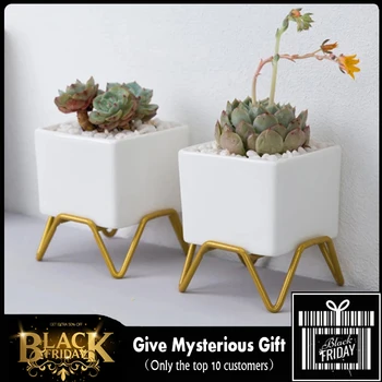 HOT Modern Mini Bonsai Flower Pots Iron Bracket Plant Pot Ceramic Vase White Small Planters Ceramic Pot Set Wholesale Flower Pot
HOT Modern Mini Bonsai Flower Pots Iron Bracket Plant Pot Ceramic Vase White Small Planters Ceramic Pot Set Wholesale Flower Pot