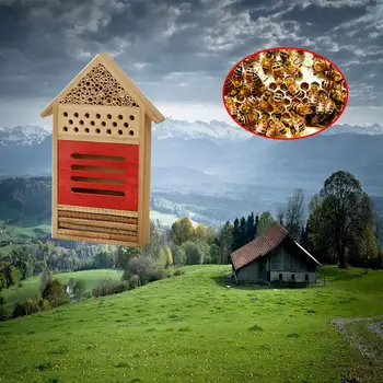 Insect House Honeycomb Insect House Hostel Outdoor Insect Hostel Solid Wood Insect House 19.5*29.5*4CM
Insect House Honeycomb Insect House Hostel Outdoor Insect Hostel Solid Wood Insect House 19.5*29.5*4CM