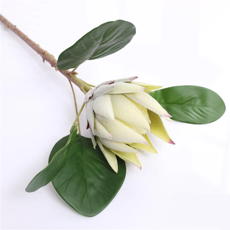 FM049-Color1