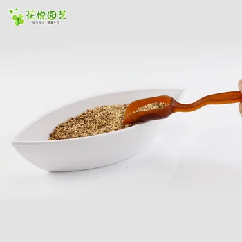 VIP for motherboard Soil scoop tea spoon moss micro landscape 
VIP for motherboard Soil scoop tea spoon moss micro landscape