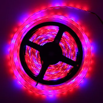 12V Full Spectrum Led Grow Light Strip Red +Blue Growing Lamp Waterproof IP65/IP20 For Hydroponics Flowers Plants Vegetables
12V Full Spectrum Led Grow Light Strip Red +Blue Growing Lamp Waterproof IP65/IP20 For Hydroponics Flowers Plants Vegetables