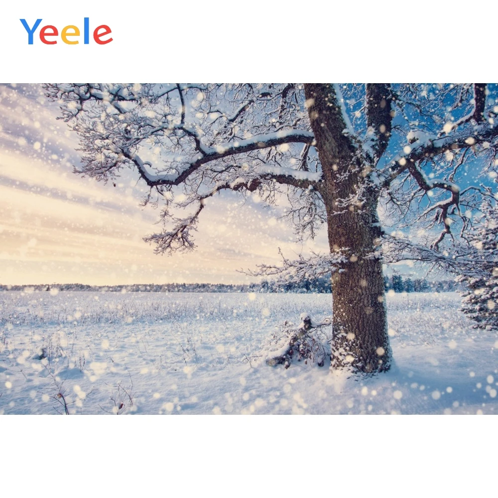 Yeele Winter Scenery Photocall Bokeh Snow Tree Draw Photography Backdrops Personalized Photographic Backgrounds For Photo Studio
Yeele Winter Scenery Photocall Bokeh Snow Tree Draw Photography Backdrops Personalized Photographic Backgrounds For Photo Studio