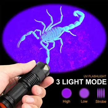 Interior Design Bicycle Accessories Flashlight Flashlight Flashlight Torch Light Adjustable Focus 3-Mode Outdoor Sports
Interior Design Bicycle Accessories Flashlight Flashlight Flashlight Torch Light Adjustable Focus 3-Mode Outdoor Sports