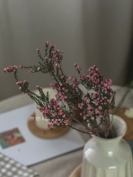 Australia Imported Natural Dried Flower Home Soft Clothes with Flower Material Homestay Hotel Artistic Hipster 
Australia Imported Natural Dried Flower Home Soft Clothes with Flower Material Homestay Hotel Artistic Hipster