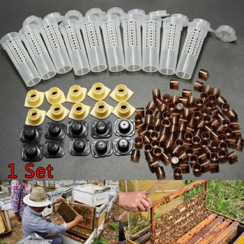 Complete Queen Bee Rearing Cupkit System Beekeeping Catcher Box Cell Cups Set Complete Queen Bee Rearing Cupkit Set
Complete Queen Bee Rearing Cupkit System Beekeeping Catcher Box Cell Cups Set Complete Queen Bee Rearing Cupkit Set