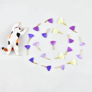 60pcs Pressed Dried Myosotis Bud Dry Flower Plants For Epoxy Resin Pendant Necklace Jewelry Making Card Craft DIY Bookmark
60pcs Pressed Dried Myosotis Bud Dry Flower Plants For Epoxy Resin Pendant Necklace Jewelry Making Card Craft DIY Bookmark