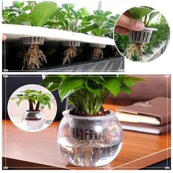 50PCS Vegetable Net-Cup Slotted Mesh Soilless Culture Vegetables Pots Hydroponic Graden Supplies
50PCS Vegetable Net-Cup Slotted Mesh Soilless Culture Vegetables Pots Hydroponic Graden Supplies