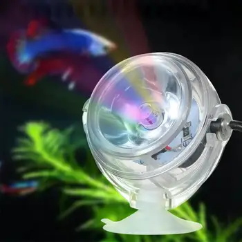 Waterproof IP68 Submersible Light LED Fish Tank Diving Light Underwater Spotlight for Fountains Aquariums Bathtubs Decoration
Waterproof IP68 Submersible Light LED Fish Tank Diving Light Underwater Spotlight for Fountains Aquariums Bathtubs Decoration