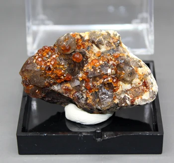 100% natural Garnet and tea crystal Symbiosis mineral specimen stones and crystals healing crystals quartz gemstones free box
100% natural Garnet and tea crystal Symbiosis mineral specimen stones and crystals healing crystals quartz gemstones free box