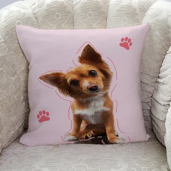 Pink Valentine Puppy Footprints Pattern Pillow Covers Cases Cushion Pillowcase Square Print
Pink Valentine Puppy Footprints Pattern Pillow Covers Cases Cushion Pillowcase Square Print