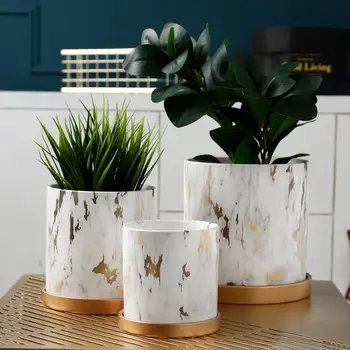 1pc Marble Style Creative Ceramic Plant Pot With Gold Tray Household Decoration Plants Holder
1pc Marble Style Creative Ceramic Plant Pot With Gold Tray Household Decoration Plants Holder