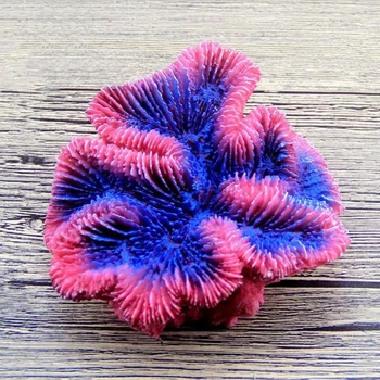 Aquarium Decorations Simulation Coralline Real Reef Frag Fish Tank Ornaments Resin Material Eco-friendly Beautiful
Aquarium Decorations Simulation Coralline Real Reef Frag Fish Tank Ornaments Resin Material Eco-friendly Beautiful