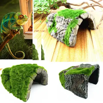 Kuulee Simulate Moss Flocking Pet Cave Hide Vest for Aquarium Reptiles Box Tortoise Spider
Kuulee Simulate Moss Flocking Pet Cave Hide Vest for Aquarium Reptiles Box Tortoise Spider