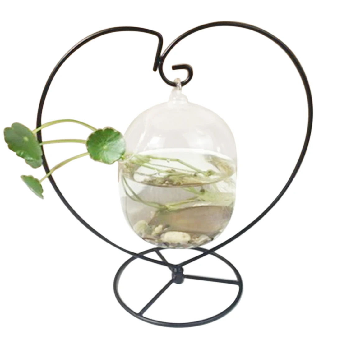 Glass Vase Hanging Plant Terrarium with Heart Shaped Iron Stand for Decor (The iron frame and the glass vase can be separated)
Glass Vase Hanging Plant Terrarium with Heart Shaped Iron Stand for Decor (The iron frame and the glass vase can be separated)