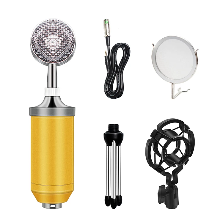 BM-8000 Condenser Microphone Kit 3.5MM Recording Mic Chatting Singing Mikrafon With Tripod Microphone Sets
BM-8000 Condenser Microphone Kit 3.5MM Recording Mic Chatting Singing Mikrafon With Tripod Microphone Sets