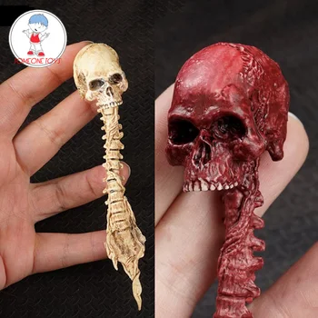 1/6 Predalien Skull Skeleton Model Zombie Alien Head Sculpt Scenes Accessories For Action Figures
1/6 Predalien Skull Skeleton Model Zombie Alien Head Sculpt Scenes Accessories For Action Figures