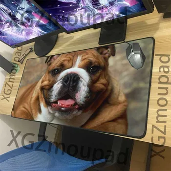 XGZ Customized Large Mouse Pad Precision Black Lock Edge Animal Lively Bulldog Office Computer Desk Mat Natural Rubber Non-slip
XGZ Customized Large Mouse Pad Precision Black Lock Edge Animal Lively Bulldog Office Computer Desk Mat Natural Rubber Non-slip