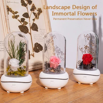Aromatherapy Air Purification Diffuser For Office Home Aromatherapy Machine Eternal Flower Essential Oil With LED Night Light
Aromatherapy Air Purification Diffuser For Office Home Aromatherapy Machine Eternal Flower Essential Oil With LED Night Light
