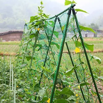 Overstriking Strand Wire Garden netting mesh Net Flower Vegetable Morning Glory Vine Cucumber Green Plant Cages Climbing Net
Overstriking Strand Wire Garden netting mesh Net Flower Vegetable Morning Glory Vine Cucumber Green Plant Cages Climbing Net