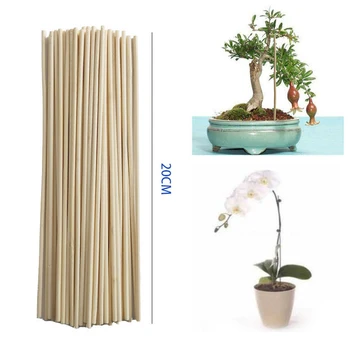 50pc Wooden Plant Grow Support Bamboo Plant Sticks Garden Canes Plants Flower Support Stick Cane Dia 3/4/5mm
50pc Wooden Plant Grow Support Bamboo Plant Sticks Garden Canes Plants Flower Support Stick Cane Dia 3/4/5mm