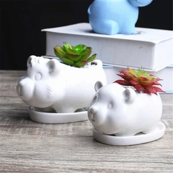 New Cute Animal Potted Flowers Gardening Succulents Planter Pot White Ceramic Flowerpot Lovely Animal Succulent Plants Flowerpot
New Cute Animal Potted Flowers Gardening Succulents Planter Pot White Ceramic Flowerpot Lovely Animal Succulent Plants Flowerpot