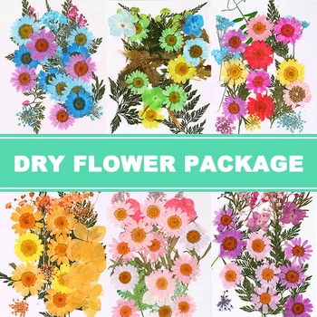 Pressed Flower Mixed Dried Flowers DIY Art Floral Decors Collection Gift Craft DIY YU-Home
Pressed Flower Mixed Dried Flowers DIY Art Floral Decors Collection Gift Craft DIY YU-Home