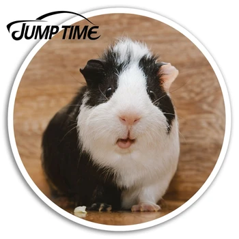 Jump Time Funky Guinea Pig Vinyl Stickers Cute Sticker Laptop Luggage Car Assessoires Window Decals Car Wrap DIY
Jump Time Funky Guinea Pig Vinyl Stickers Cute Sticker Laptop Luggage Car Assessoires Window Decals Car Wrap DIY