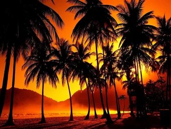 

JMINE Div 5D Tropical Beach Sunset Palm Tree Full Diamond Painting cross stitch kits art Scenic 3D paint by diamonds