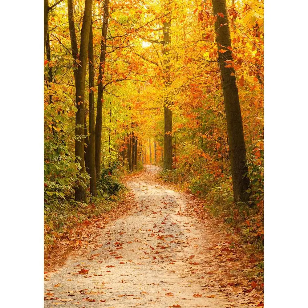 Yellow Leaves Footpath Photo Background Customized Fond Backdrop Photography Props for Baby Children Portrait Grove Photobooth
Yellow Leaves Footpath Photo Background Customized Fond Backdrop Photography Props for Baby Children Portrait Grove Photobooth