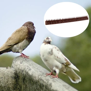 10pcs/set Wiring Cable PP Bird Easy Install Foxes Fence Wall Spikes Garden Home Electrical Equipment Yard Anti Climbing Cats
10pcs/set Wiring Cable PP Bird Easy Install Foxes Fence Wall Spikes Garden Home Electrical Equipment Yard Anti Climbing Cats