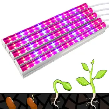 1Set Professional T5 Plant Growth Lamp AC 85-265V 5730 Full Spectrum 30 LED Grow Light Flower Hydroponic Greenhouse Garden
1Set Professional T5 Plant Growth Lamp AC 85-265V 5730 Full Spectrum 30 LED Grow Light Flower Hydroponic Greenhouse Garden