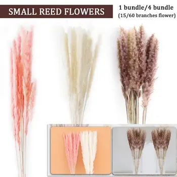 Instock15-60pc Natural Dried Pampas Grass Reed Home Wedding Flower Bunch Decor Colorful
Instock15-60pc Natural Dried Pampas Grass Reed Home Wedding Flower Bunch Decor Colorful