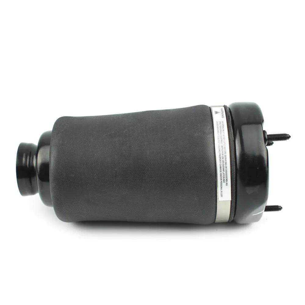 SB-1643206113-3